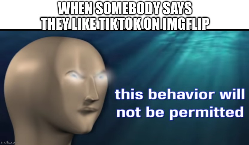 Destroy. | WHEN SOMEBODY SAYS THEY LIKE TIKTOK ON IMGFLIP | image tagged in this behaviour will not be permitted,tiktok sucks | made w/ Imgflip meme maker