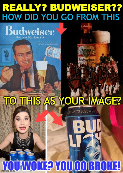 HOW DID YOU GO FROM THIS; REALLY? BUDWEISER?? TO THIS AS YOUR IMAGE? YOU WOKE? YOU GO BROKE! | made w/ Imgflip meme maker