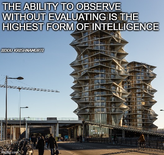 THE ABILITY TO OBSERVE WITHOUT EVALUATING IS THE HIGHEST FORM OF INTELLIGENCE; JIDDU KRISHNAMURTI | made w/ Imgflip meme maker