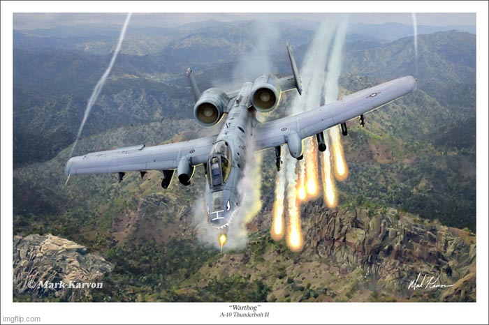 A10 Warthog | image tagged in a10 warthog | made w/ Imgflip meme maker