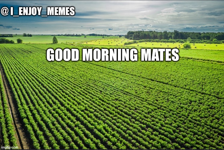 I_enjoy_memes_template | GOOD MORNING MATES | image tagged in i_enjoy_memes_template,tag because simp | made w/ Imgflip meme maker