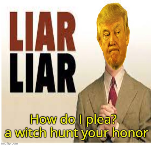 How do I plea? 
 a witch hunt your honor | made w/ Imgflip meme maker
