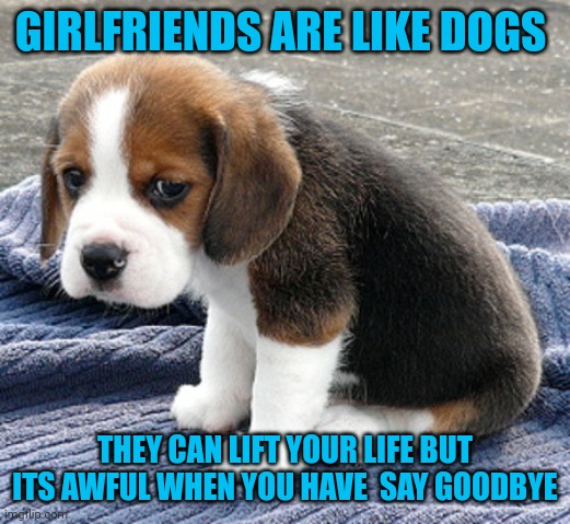 I hate breaking up with women, but sometimes it has to be done | GIRLFRIENDS ARE LIKE DOGS; THEY CAN LIFT YOUR LIFE BUT ITS AWFUL WHEN YOU HAVE  SAY GOODBYE | image tagged in sad dog | made w/ Imgflip meme maker