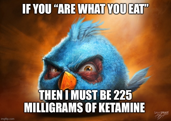 angry birds blue | IF YOU “ARE WHAT YOU EAT”; THEN I MUST BE 225 MILLIGRAMS OF KETAMINE | image tagged in angry birds blue | made w/ Imgflip meme maker