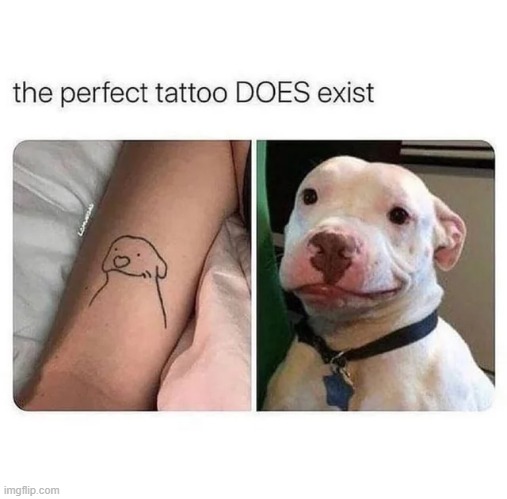 Perfection! | image tagged in wholesome,memes,funny | made w/ Imgflip meme maker