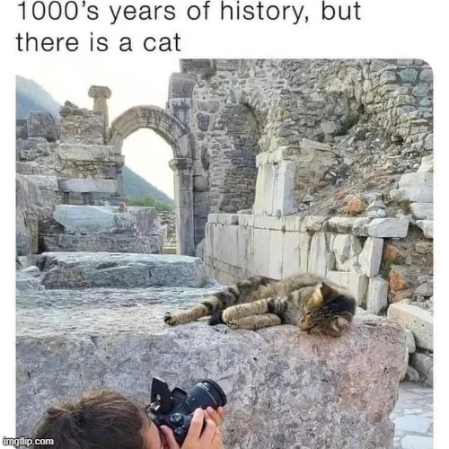 Wholesome spot | image tagged in wholesome,memes,funny | made w/ Imgflip meme maker