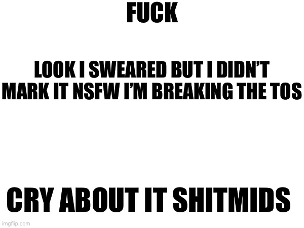 FUCK; LOOK I SWEARED BUT I DIDN’T MARK IT NSFW I’M BREAKING THE TOS; CRY ABOUT IT SHITMIDS | made w/ Imgflip meme maker