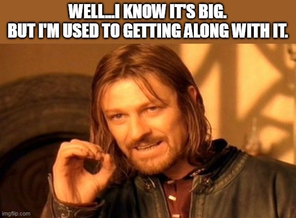 BIG ONE | WELL...I KNOW IT'S BIG.
BUT I'M USED TO GETTING ALONG WITH IT. | image tagged in memes,one does not simply | made w/ Imgflip meme maker