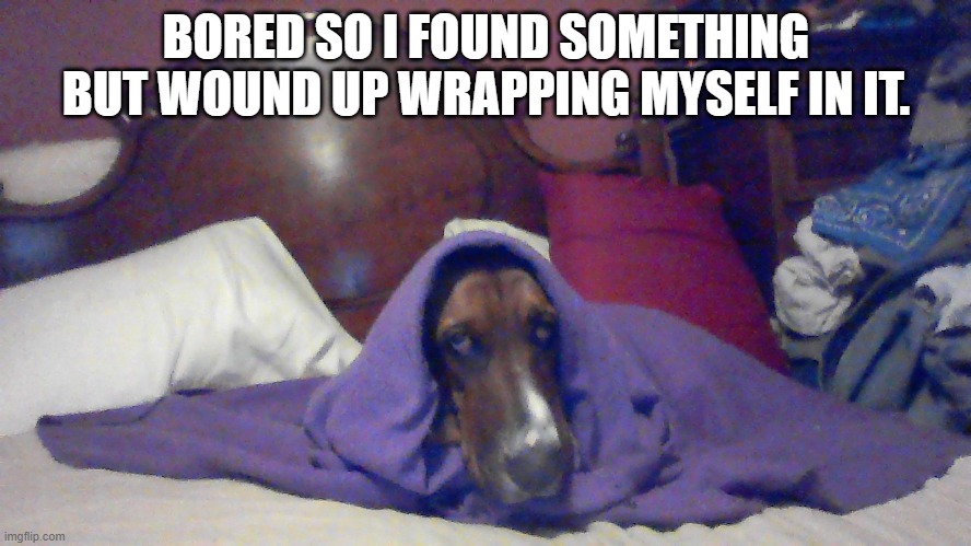 BORED SO I FOUND SOMETHING BUT WOUND UP WRAPPING MYSELF IN IT. | made w/ Imgflip meme maker