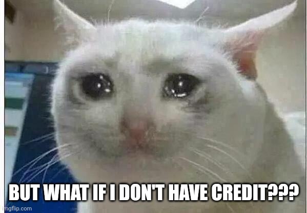 crying cat | BUT WHAT IF I DON'T HAVE CREDIT??? | image tagged in crying cat | made w/ Imgflip meme maker