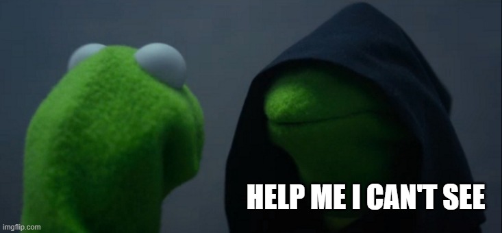 lol :P | HELP ME I CAN'T SEE | image tagged in memes,evil kermit | made w/ Imgflip meme maker