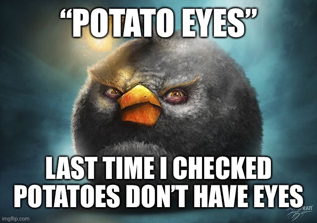 angry birds bomb | “POTATO EYES”; LAST TIME I CHECKED POTATOES DON’T HAVE EYES | image tagged in angry birds bomb | made w/ Imgflip meme maker