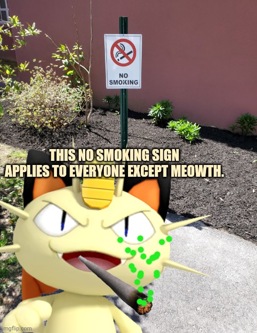 Drugs are bad, m'kay? | THIS NO SMOKING SIGN APPLIES TO EVERYONE EXCEPT MEOWTH. | image tagged in stop dewing drugz,meowth,said so | made w/ Imgflip meme maker