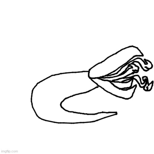 the silly worm | made w/ Imgflip meme maker