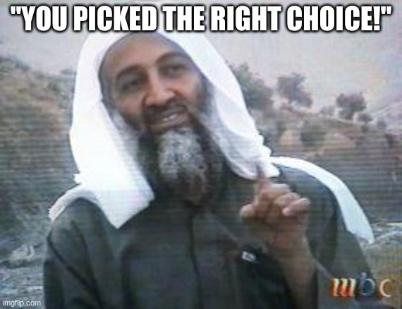 THIS IS WHY I BOMB PEOPLE | "YOU PICKED THE RIGHT CHOICE!" | image tagged in this is why i bomb people | made w/ Imgflip meme maker