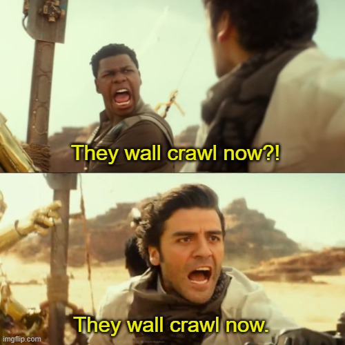 They Fly Now | They wall crawl now?! They wall crawl now. | image tagged in they fly now | made w/ Imgflip meme maker