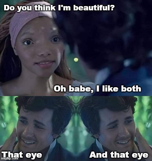 Cheeky sob eh | Do you think I'm beautiful? Oh babe, I like both; And that eye; That eye | image tagged in the little mermaid,funny | made w/ Imgflip meme maker