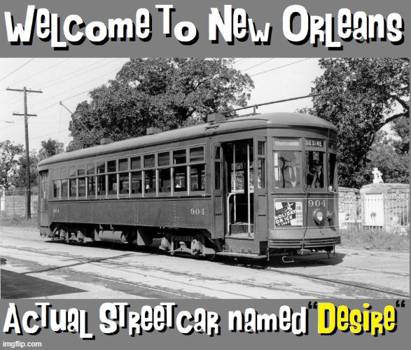 New Orleans: Where Life & Literature Intersect | image tagged in vince vance,new orleans,streetcar named desire,memes,tennessee,williams | made w/ Imgflip meme maker
