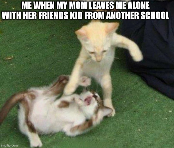 Home vs Away | ME WHEN MY MOM LEAVES ME ALONE WITH HER FRIENDS KID FROM ANOTHER SCHOOL | image tagged in cat fight | made w/ Imgflip meme maker