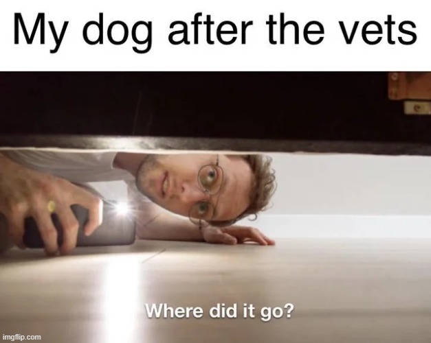 image tagged in memes,funny | made w/ Imgflip meme maker