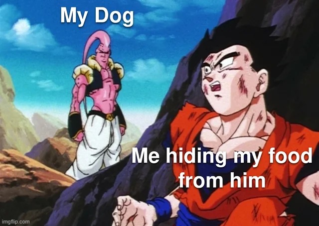 image tagged in memes,funny | made w/ Imgflip meme maker