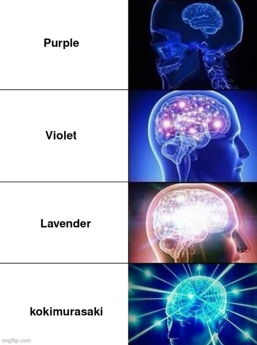 image tagged in memes,funny | made w/ Imgflip meme maker