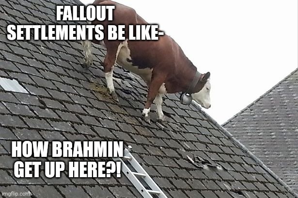 Fallout Settlement | FALLOUT SETTLEMENTS BE LIKE-; HOW BRAHMIN GET UP HERE?! | image tagged in fallout settlement | made w/ Imgflip meme maker