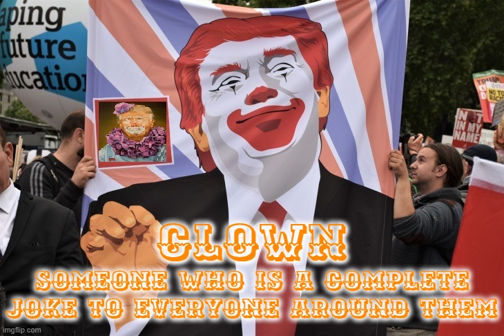 DONALD THE CLOWN | CLOWN; SOMEONE WHO IS A COMPLETE JOKE TO EVERYONE AROUND THEM | image tagged in clown,joke,fool,circus,dumb,buffoon | made w/ Imgflip meme maker