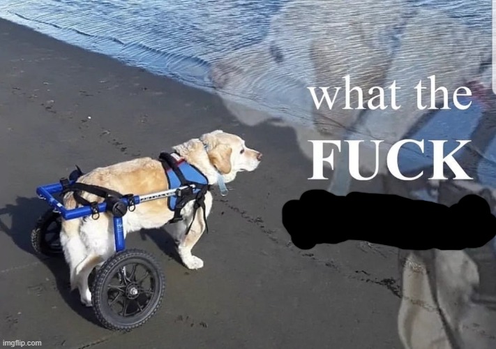 What the fuck is oatmeal | image tagged in what the fuck is oatmeal | made w/ Imgflip meme maker