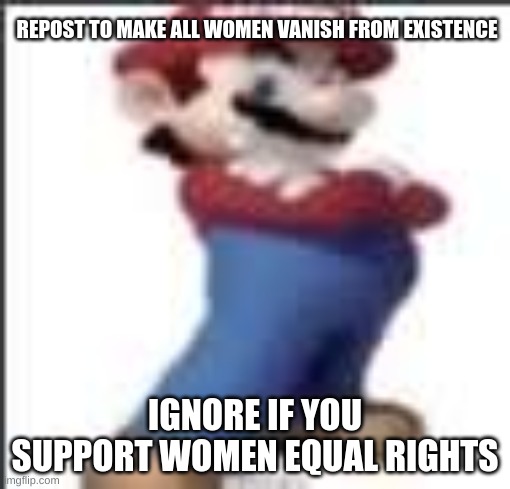 I hate wemen | REPOST TO MAKE ALL WOMEN VANISH FROM EXISTENCE; IGNORE IF YOU SUPPORT WOMEN EQUAL RIGHTS | image tagged in badass mario | made w/ Imgflip meme maker