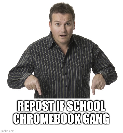 Pointing Down Disbelief | REPOST IF SCHOOL CHROMEBOOK GANG | image tagged in pointing down disbelief | made w/ Imgflip meme maker