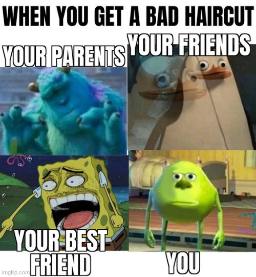 why our parents be like that tho??? | image tagged in bad haircut | made w/ Imgflip meme maker