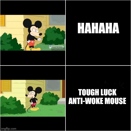 Family Guy Mickey Mouse | HAHAHA; TOUGH LUCK ANTI-WOKE MOUSE | image tagged in family guy mickey mouse | made w/ Imgflip meme maker