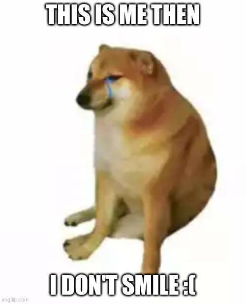 Weak doge alone | THIS IS ME THEN I DON'T SMILE :( | image tagged in weak doge alone | made w/ Imgflip meme maker