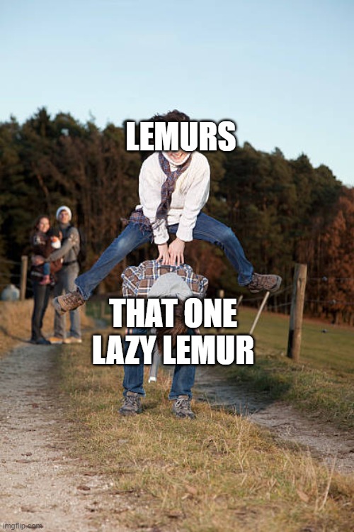 Leapfrog vault | THAT ONE LAZY LEMUR LEMURS | image tagged in leapfrog vault | made w/ Imgflip meme maker