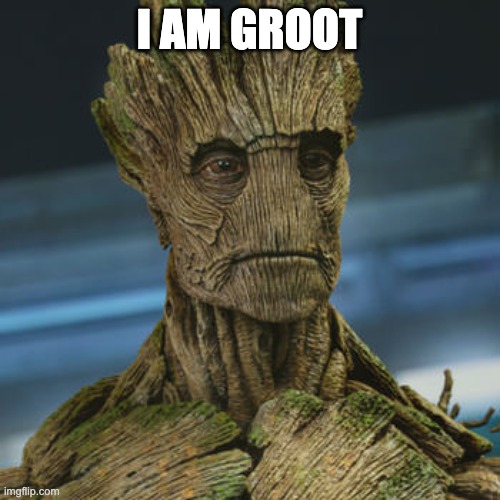 I am Groot | I AM GROOT | image tagged in i am groot | made w/ Imgflip meme maker