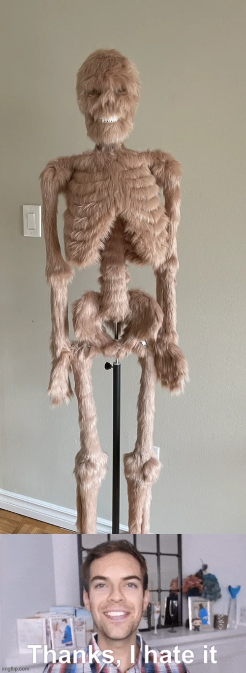 Thanks, i hate this fuzzy skeleton | image tagged in thanks i hate it,cursed image,memes | made w/ Imgflip meme maker