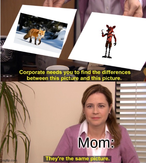 They're The Same Picture | Mom: | image tagged in memes,they're the same picture | made w/ Imgflip meme maker