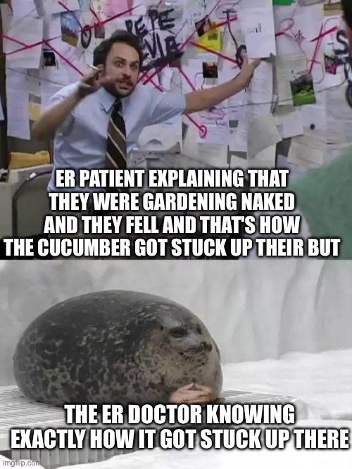 Man explaining to seal | ER PATIENT EXPLAINING THAT THEY WERE GARDENING NAKED AND THEY FELL AND THAT'S HOW THE CUCUMBER GOT STUCK UP THEIR BUT; THE ER DOCTOR KNOWING EXACTLY HOW IT GOT STUCK UP THERE | image tagged in man explaining to seal | made w/ Imgflip meme maker