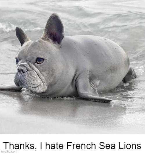 Thanks, I hate French Sea Lions | Thanks, I hate French Sea Lions | image tagged in cursed image | made w/ Imgflip meme maker