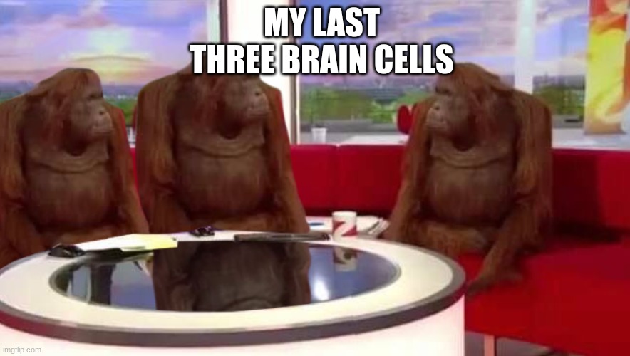 where monkey | MY LAST THREE BRAIN CELLS | image tagged in where monkey | made w/ Imgflip meme maker