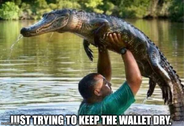 Gator | JUST TRYING TO KEEP THE WALLET DRY. | image tagged in gator | made w/ Imgflip meme maker
