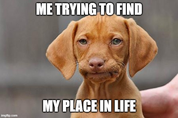 Dissapointed puppy | ME TRYING TO FIND MY PLACE IN LIFE | image tagged in dissapointed puppy | made w/ Imgflip meme maker