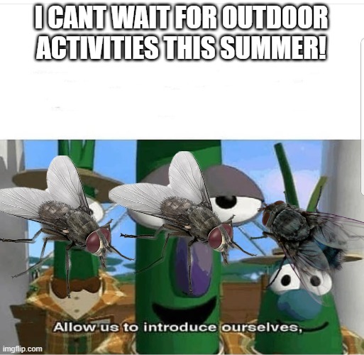 summer flies | I CANT WAIT FOR OUTDOOR ACTIVITIES THIS SUMMER! | image tagged in allow us to introduce ourselves,flies,summer time,funny,memes | made w/ Imgflip meme maker