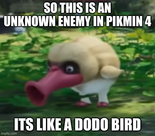 SO THIS IS AN UNKNOWN ENEMY IN PIKMIN 4; ITS LIKE A DODO BIRD | made w/ Imgflip meme maker