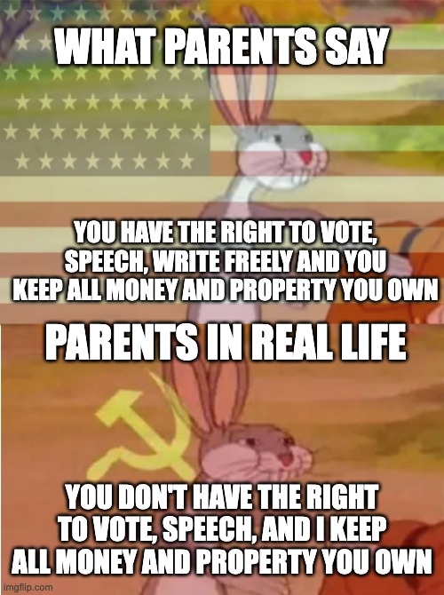 my parents | WHAT PARENTS SAY; YOU HAVE THE RIGHT TO VOTE, SPEECH, WRITE FREELY AND YOU KEEP ALL MONEY AND PROPERTY YOU OWN; PARENTS IN REAL LIFE; YOU DON'T HAVE THE RIGHT TO VOTE, SPEECH, AND I KEEP ALL MONEY AND PROPERTY YOU OWN | image tagged in bugs bunny communist capitalist | made w/ Imgflip meme maker