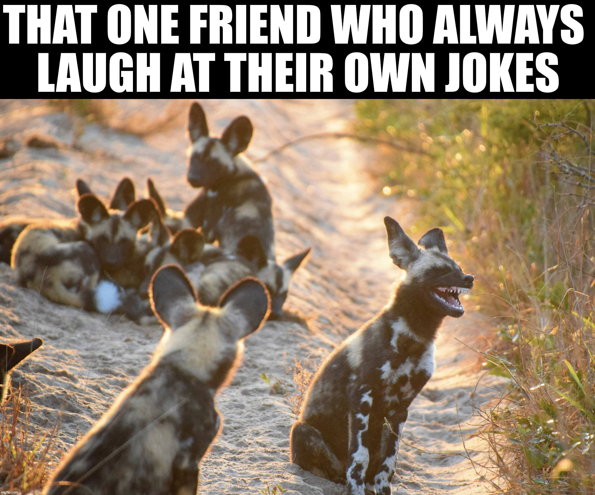 THAT ONE FRIEND WHO ALWAYS 
LAUGH AT THEIR OWN JOKES | made w/ Imgflip meme maker