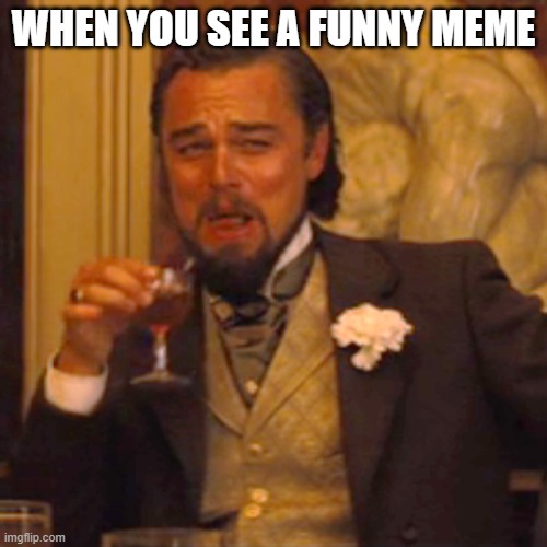 Img Flip | WHEN YOU SEE A FUNNY MEME | image tagged in memes,laughing leo | made w/ Imgflip meme maker