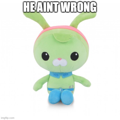 da gorl | HE AINT WRONG | image tagged in da gorl | made w/ Imgflip meme maker