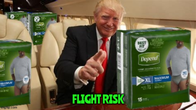 Trump flight risk! | FLIGHT RISK | image tagged in donald trump,depends,trump's plane,indicted,maga,flight risk | made w/ Imgflip meme maker